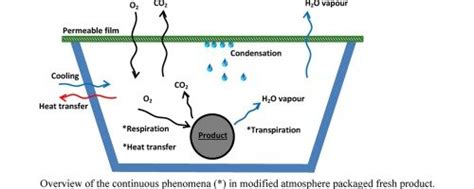 Modified Atmosphere Packaging Process