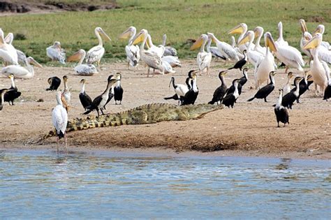 Tempat Wisata Di Burundi Keren Banget Trippers Id