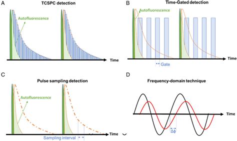 Longlived Second Nearinfrared Luminescent Probes An Emerging Role In