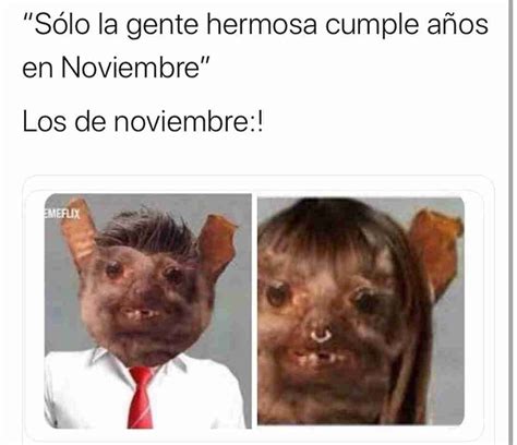 Sólo la gente hermosa cumple años en Noviembre Los de noviembre Memes