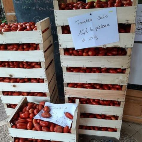 Tomates à coulis La Ferme de Vialard