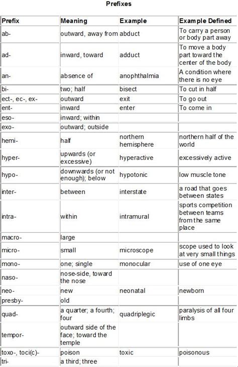 Anatomy Prefixes