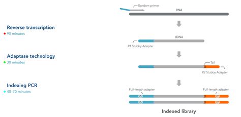 Xgen Rna Library Prep Kit Idt