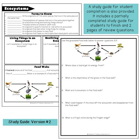 Ecosystem Review Sheet Using The Diagram Answer The Following Worksheets Library