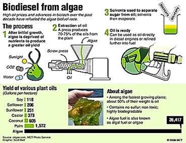 Geography Is Awesome!: Algae Biofuel