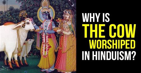 Why Is The Cow Worshiped In Hinduism ? | Significance Of Cow In Hindu Dharma | Artha - Superb ...