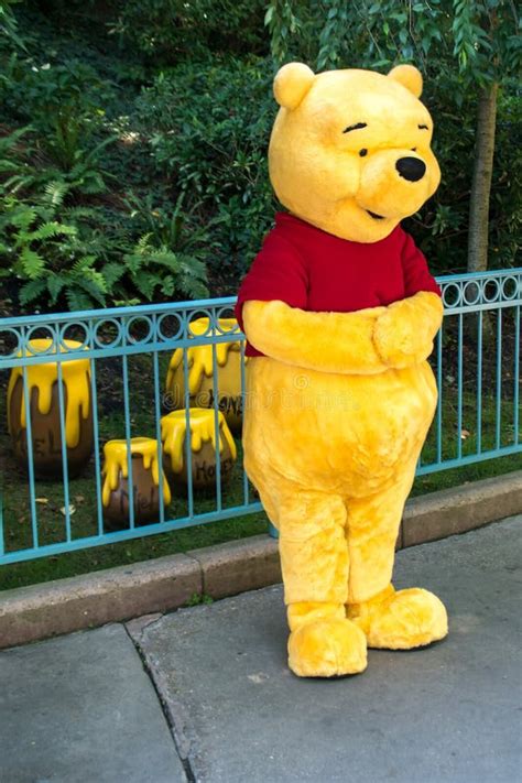 Encontrarse Con Winnie the Pooh Imagen editorial - Imagen de disneyland, europa: 201008320