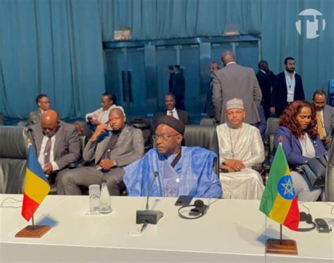 E Sommet Des Brics Saleh Kebzabo A Exprim Le Souhait Du Tchad D