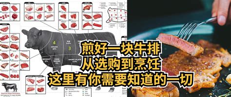 煎好一块牛排， 一文教会你需要知道的一切！从选购到烹饪， 熟练掌握最简单的一道菜！ 哔哩哔哩