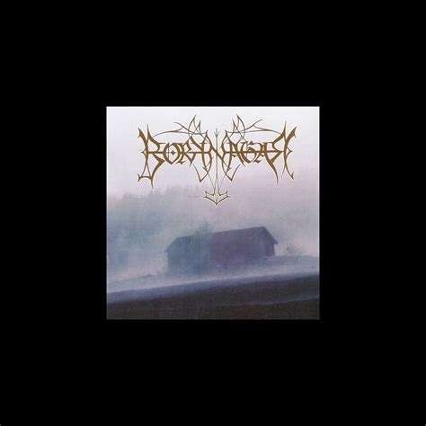 Borknagar By Borknagar On Apple Music