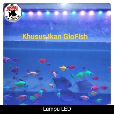 Jual Kandila Lampu Led Glofish View Uk 10080 6050403020 Cm 50cm