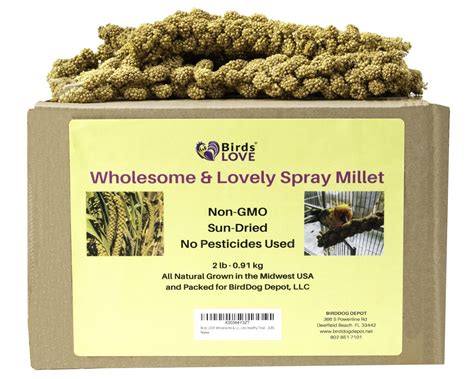 Birds Love Spray Millet Wholesome 2lb