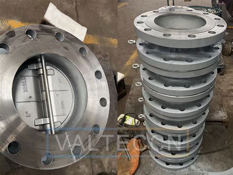 Flange End Dual Plate Check Valve Exported To Brazil Valteccn