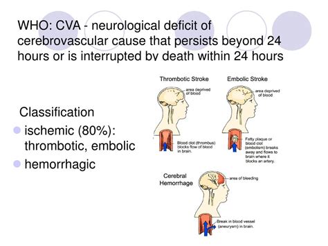 PPT CEREBROVASCULAR ACCIDENT CVA PowerPoint Presentation Free