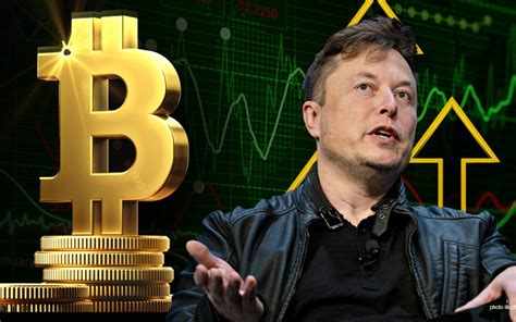 Elon Musk S Influence On The Cryptocurrency World A Deep Dive