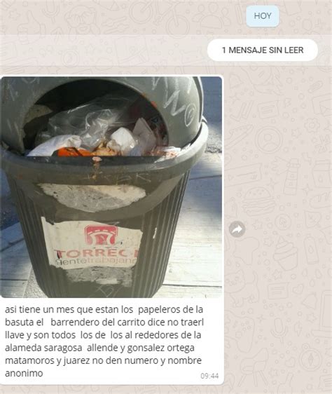 Reportan Falta De Limpieza En Contenedores De Basura Telediario M Xico