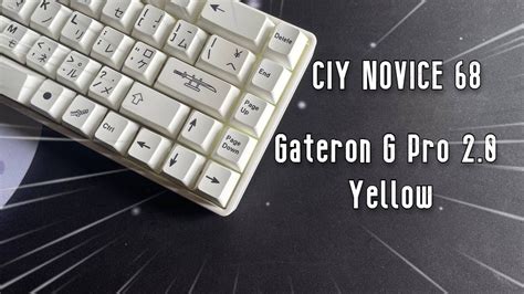 Building A Custom Keyboard Ciy Novice Youtube