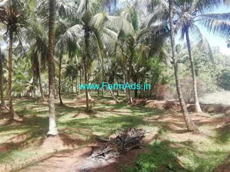 4 50 Acres Coconut Farm Land For Sale In Kozhinjampara Palakkad