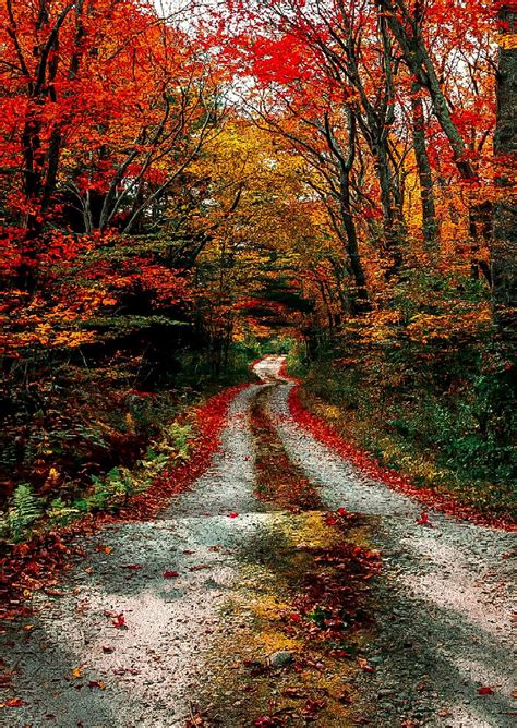 Hiking in stowe vt 11 best stowe hikes – Artofit