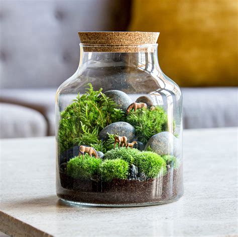 Reindeer Moss Terrarium