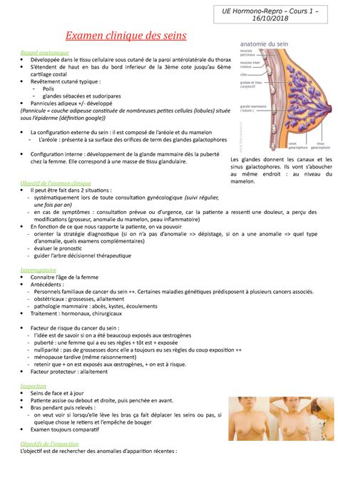 premôcť impresionizmus súvislosť inspection examen clinique du sein