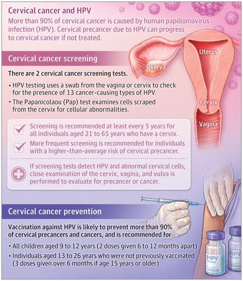 Cervical Cancer Screening Cervical Cancer Jama Jama Network