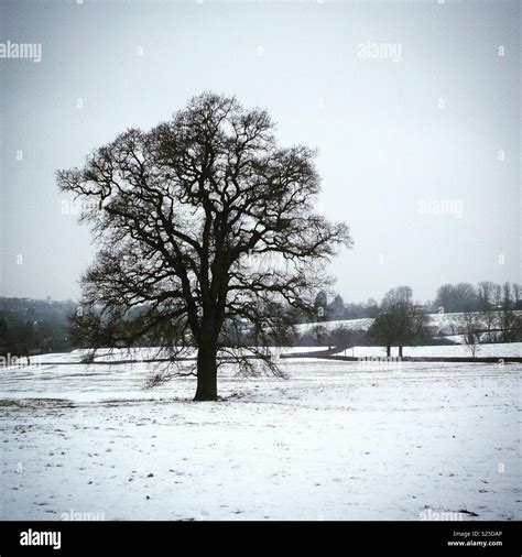 Bleak midwinter landscape hi-res stock photography and images - Alamy