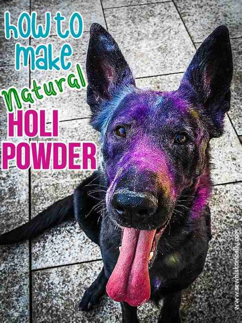 How To Make DIY Natural Holi Powder From Scratch - Sew Historically