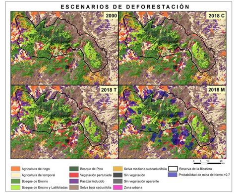 Imágenes De Los Mapas De Los Tipos De Cobertura Y Uso Del Suelo De La