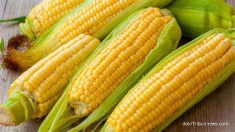 Manfaat Jagung Untuk Kesehatan Yang Menakjubkan