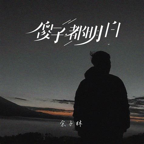 傻子都明白 完整版 余子林 单曲 网易云音乐