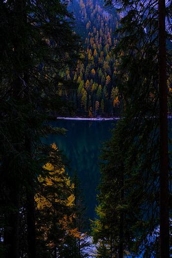 Jiuzhaigou National Park Autumn Blue Lake Forest China Beautiful