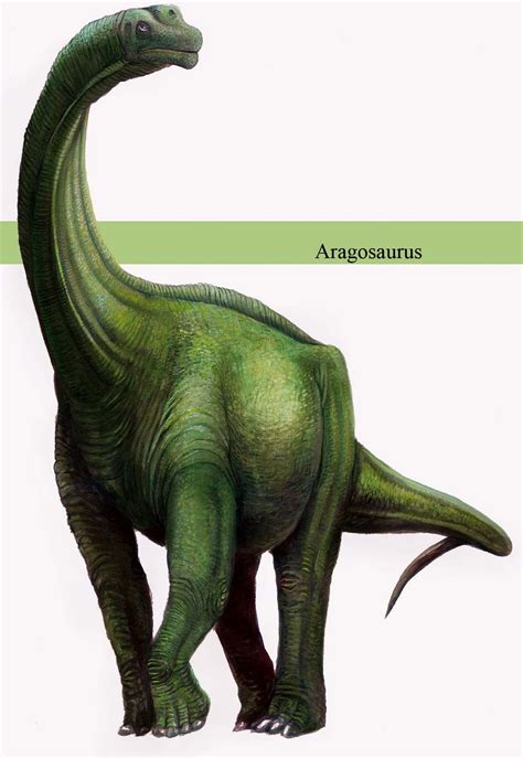 Aragosaurus Wiki Prehistórico Fandom Powered By Wikia