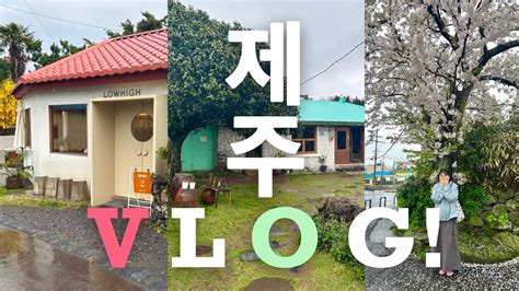 제주vlog 비오는 제주 뚜벅이 무계획 2박3일 여행 🍊🌴🌧️애월을 많이 곁드린 아베베베이커리동성식당동문시장샐리스호텔