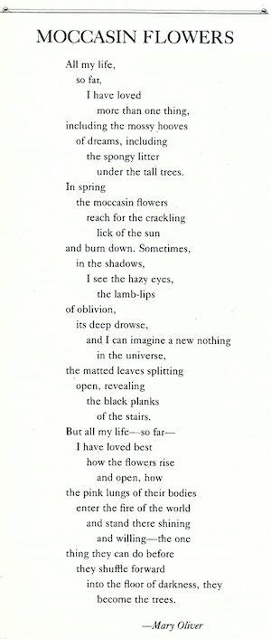 From The Archives ‘moccasin Flowers ’ A Poem By Mary Oliver Mary Oliver Poems Mary Oliver