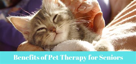 Benefits of Pet Therapy for Seniors