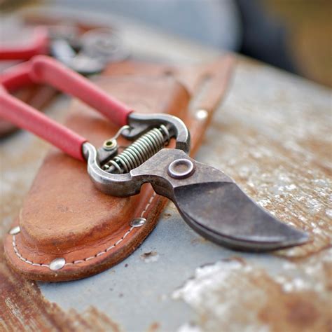 How to Clean and Sharpen Your Hand Tools — Green Acres Nursery & Supply