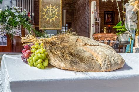 Pan Uvas Y Símbolo Del Trigo De Christian Holy Communion En El Ch