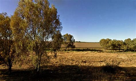 Australia Trees Fields Sky Grass Hd Wallpaper Pxfuel