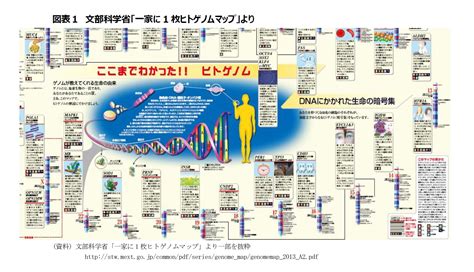 遺伝子検査って何？どう役にたつの？－急激に下がった解析コスト ゲノムの全容解明が進行中－ ニッセイ基礎研究所