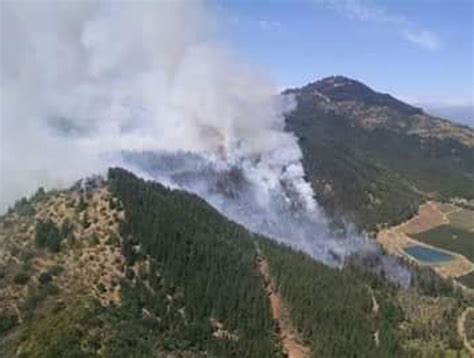 Incendio forestal ha consumido 280 hectáreas en la comuna de Pelarco