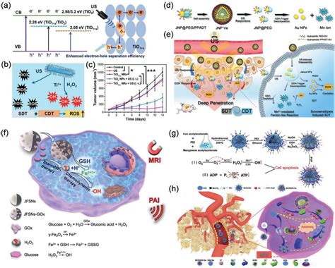 A The Proposed Mechanism Of Pegtio X Nrs For Enhanced Sdt B