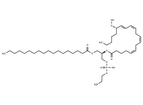 1 Stearoyl 2 15 S HpETE Sn Glycero 3 PE TargetMol