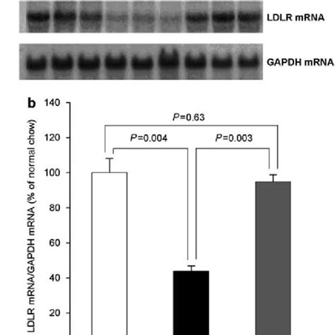 Fenofibrate Induces Ldlr Expression In Mouse Liver A Mice Were