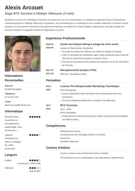 CV Stage Exemple Pour Une Demande Professionnelle