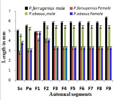 Figure 1 From Antennal Sensilla Of Cashew Stem And Root Borers