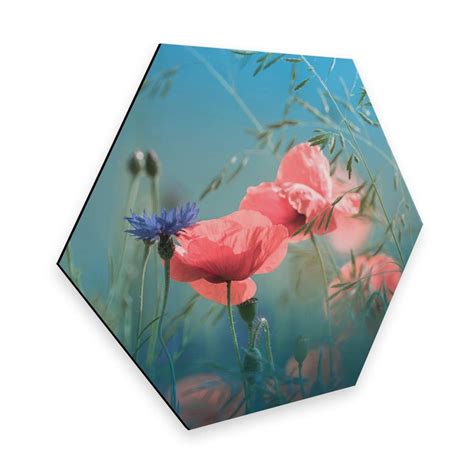 Hexagon Alu Dibond Delgado Wildflower Aquamarine Wall Art Dk