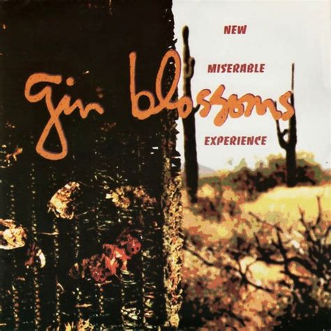 Gin Blossoms New Miserable Experience Vinyl LP For Sale Online and ...