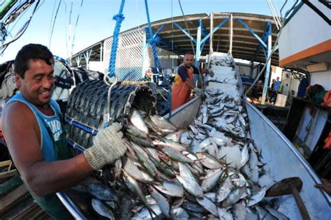 Consumo de pescado na América Latina e no Caribe crescerá 33 até 2030 Embassy Agência de Notícias