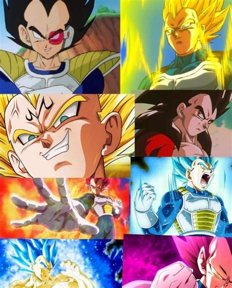 The Many Faces Of Gohan And Vegeta In Dragon Ball Zotai